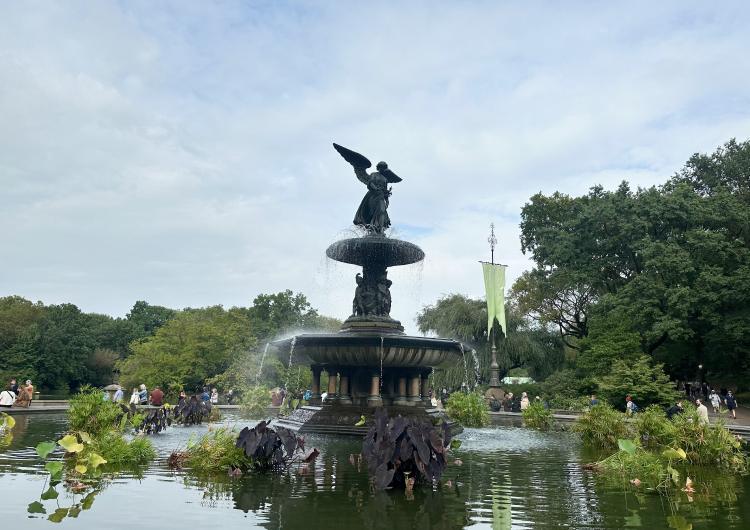 Bethesda Fountain en Central Park