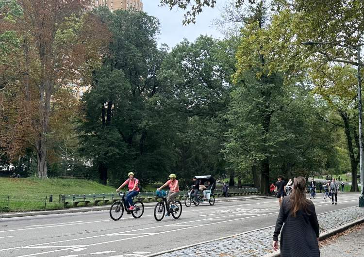 Central Parken bicicleta