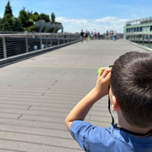 preparar un viaje a nueva york con niños